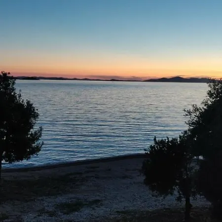 Mobile House Vitamin Sea * 德拉格